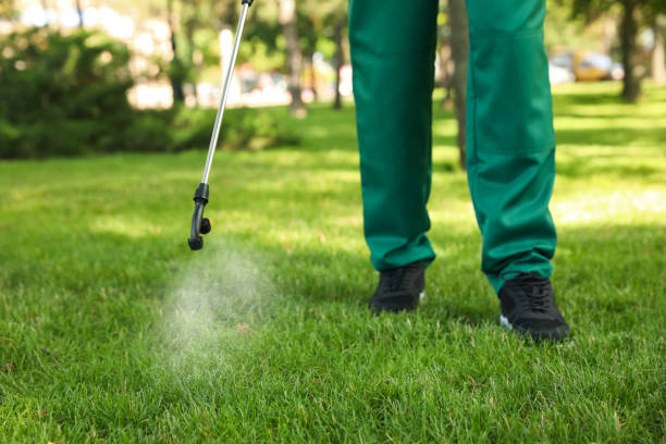 Wildlife Control Services in Lake Shore, UT