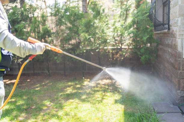 Pest Control for Restaurants in Lake Shore, UT