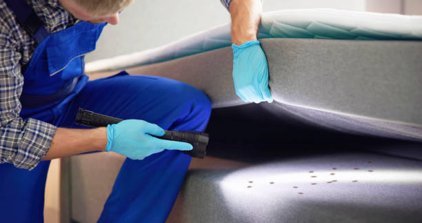 Best Pest Control for Homes  in Lake Shore, UT