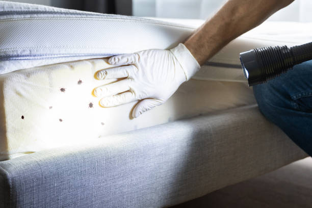 Best Wildlife Control Services  in Lake Shore, UT